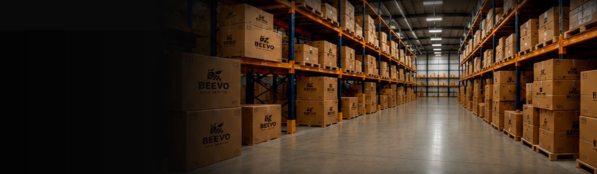 Dịch vụ lưu kho an toàn Beevo